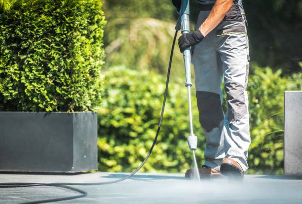 Animal Enclosure Cleaning in Groesbeck, TX